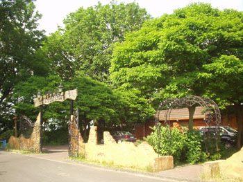 P6040005